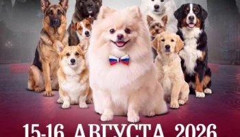 В Воронеже впервые соберутся чемпионы и редкие породы собак со всей России